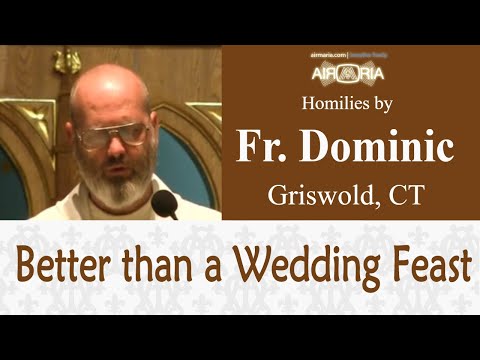 Better than a Wedding Feast - Aug 20 - Homily - Fr Dominic