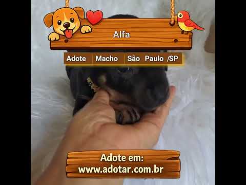 Vídeo de Alfa