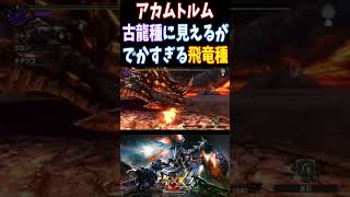 ワイルズの超拡張DLCで復活してほしいアカムトルムこう見えて飛竜種で金策にもオススメだった