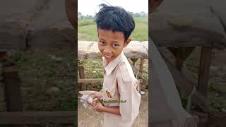 Download lagu the kid tries pigeon underpass #shorts mp3