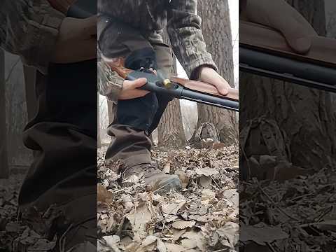 Winchester Long Beard TSS