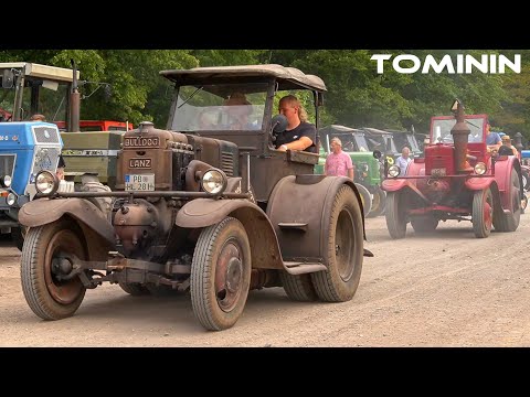 Bulldog, Dampf & Diesel 2025 🇩🇪 Leipzig 2025 🚜🚚 Video: 1