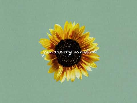 🌻 You Are My Sunshine (Cover) by The Macarons Project