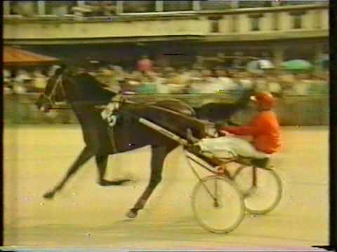 Preis der Stadt Wien 1989 Finale - Sorrento / M.W. Kozlow