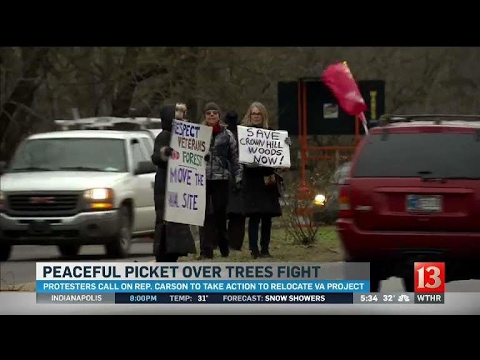Tree protest