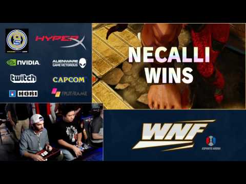 WNF Wednesday Night Fights 1.3 SFV - PapaTrunks (Birdie) vs NickTanella (Necalli)