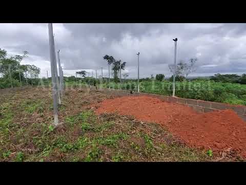 Update on The 5,000 Capacity Poultry Pen | Poultry Farm Construction