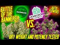 Battle Of The Banners! Homegrown Vs. Nukeheads! Dry Weight & Potency Tested!