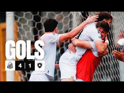 Gols e melhores lances de Santos x Botafogo