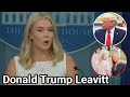Karoline Leavitt Donald Trump Periscope Live Vlogs Bigo Live Live Stream