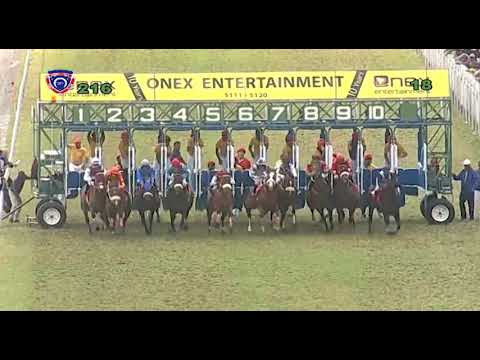 RM21 R6 - Al Mariachi