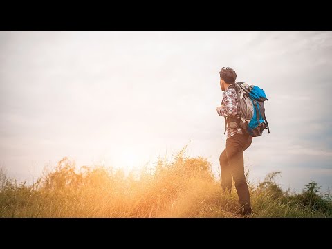 7 Years to Life - Pastis | Pop Music