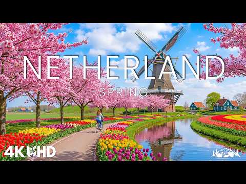 Nature Relaxation 4K - Pro and Piano Odyssey 4K