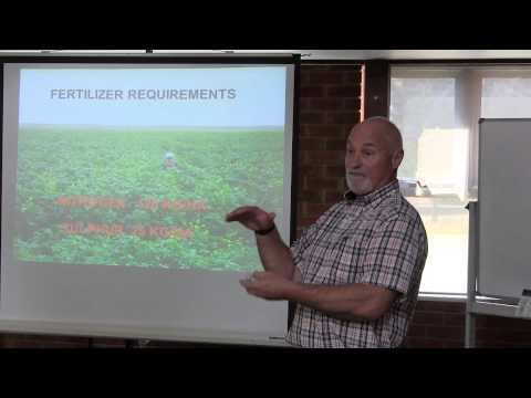 Biofumigation Crop Management 3 of 5