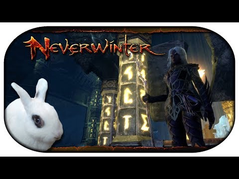 NEVERWINTER: Paladin-LP 🐇 85 - Angriff der Drow-Drow