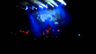 Tea Party 2011 - Army Ants