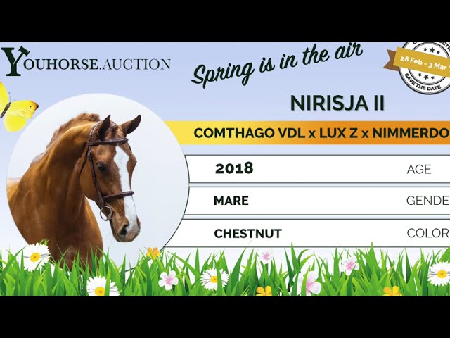 Nirisja showvideo indoor