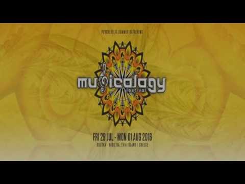 Dr.  Psyhead live at Musicology Festival 2016