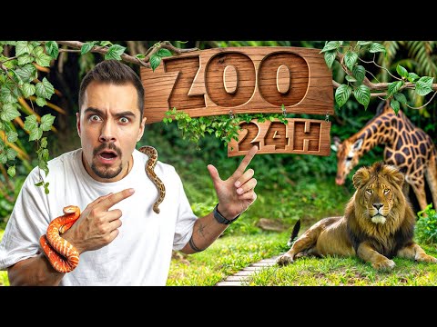 24H W ZOO