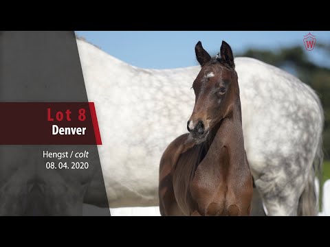 08 Denver Hengst v. Dia Corrado - Cornado