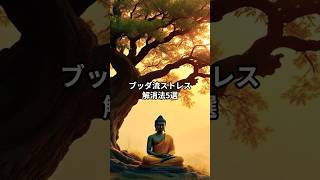 心がラクになる！ブッダ流ストレス解消法5選