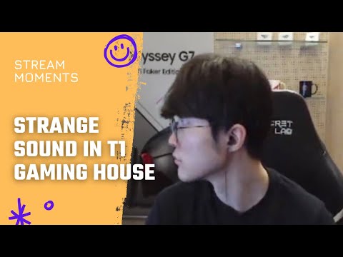 Strange sound in T1 Gaming House | T1 Stream Moments