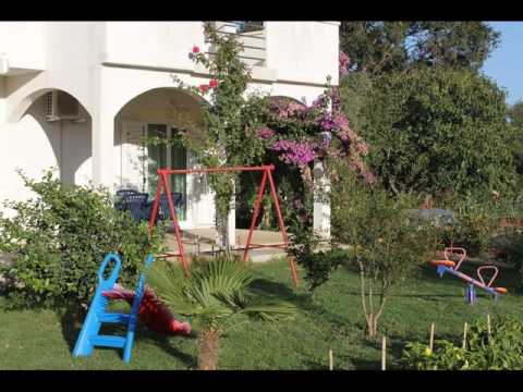 Apartment Mrljane 8463a - Hotel in Nevidjane, Croatia