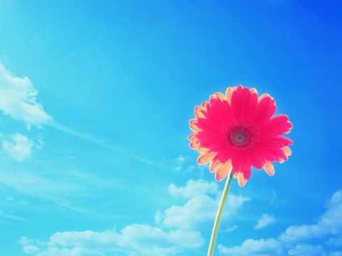 Služavke malog Isusa - Moje nebo