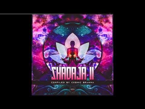 Kotoctok - The other side of the pond