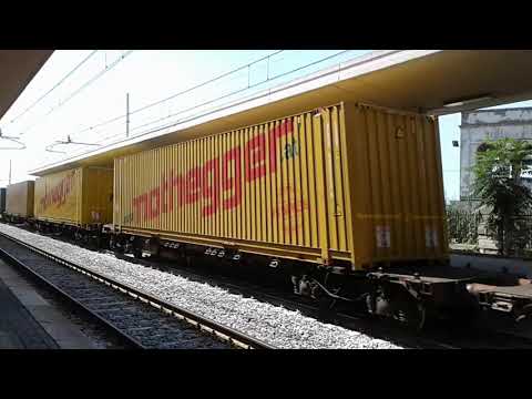 NOTHEGGER IN TRANSITO