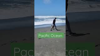 Pacific Ocean Beaches 🌏 Northern California Eureka California Realtor