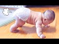 Funny Baby Videos Adorable Chubby Baby Moments Compilations