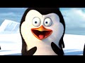 DreamWorks Madagascar | Penguins of Madagascar: Antarctic Documentary | Kids Movies