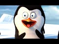 DreamWorks Madagascar Penguins Of Madagascar Antarctic Documentary Kids Movies