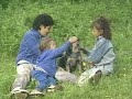 芝麻街 Sesame Street What A Gift Mandarin Chinese
