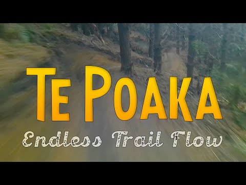 Te Poaka - Blind Run - New Track Opening in Rotorua MTB