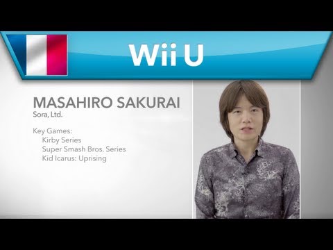Developer Direct @E3 2013 (Wii U & Nintendo 3DS)