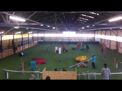 11.02.2012 - Ice - Agility - Fräschels