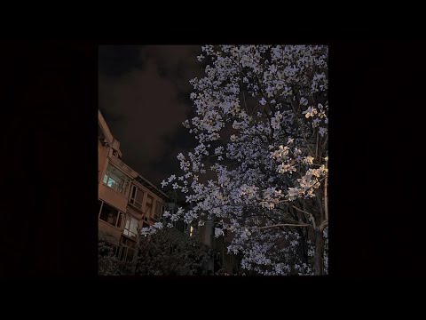 flume x wondagurl type beat - "frost"