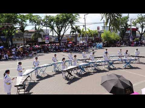 AICS Blue Stars- Pit Percussion