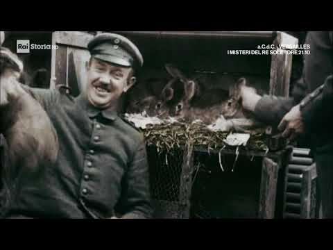 Apocalypse - La prima guerra mondiale a colori - Ep. 3 L'Europa in fiamme