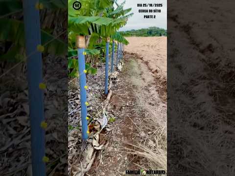 #Cerca do #Sítio #Parte2 #RioQuieto #ManoelRibas #Paraná #natureza @MarkinhosMM