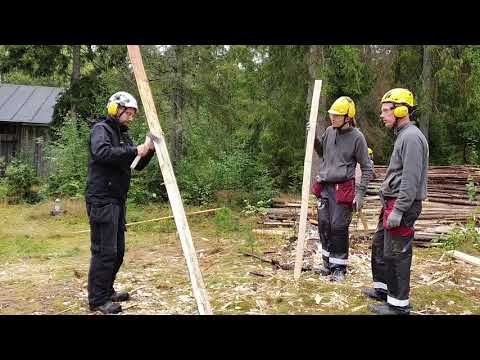 Taideteollisuusalan perustutkinto, Restauroija