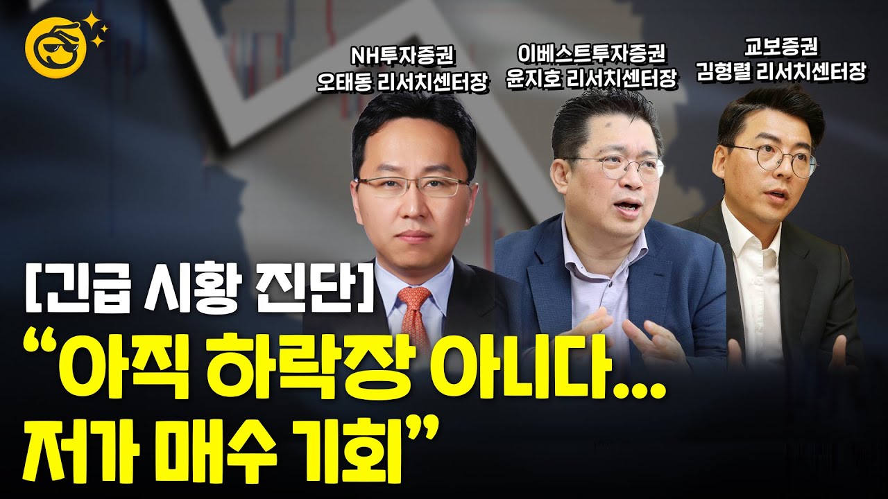 "공포에 사라" 롤러코스터 증시, 전문가들의 생각은?