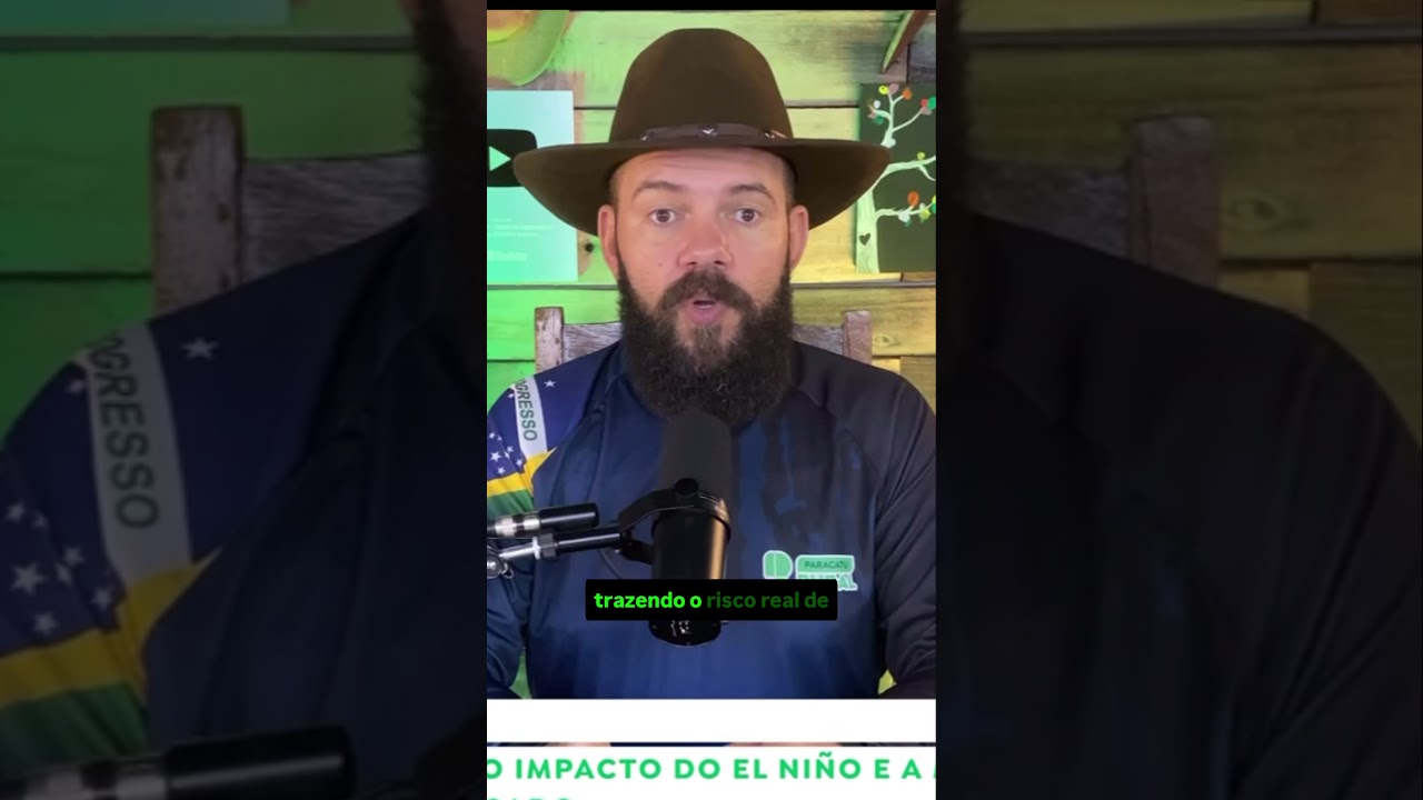 O que Esperar do Mercado do Café? Preços, Clima e Projeções para as Próximas Safras.