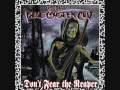 (Don't Fear) The Reaper - Blue Öyster Cult ...