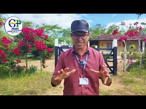212#Sítio 15 hectares escriturado feira Nova Pernambuco 