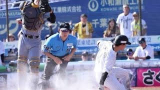 ・【珍プレー】エラーが神展開に…友杉が一気にホームイン⚡【ハッシュタグ】 #プロ野球#ロッテ#阪神タイガース#友杉篤輝#珍プレー#ランニングホームラン#野球ハイライト#ZOZOマリン#セパ交流戦