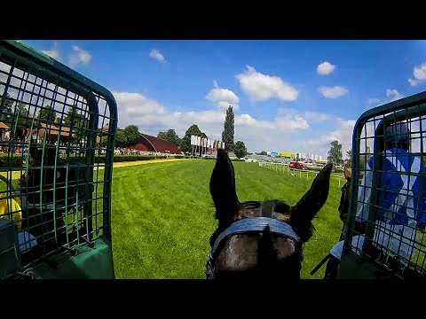 Dostih z pohledu žokeje #3