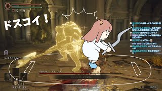 【 エルデンリング】すべてのボス撃破を目指してしゅっぱ～つ【ELDEN RING】#17
